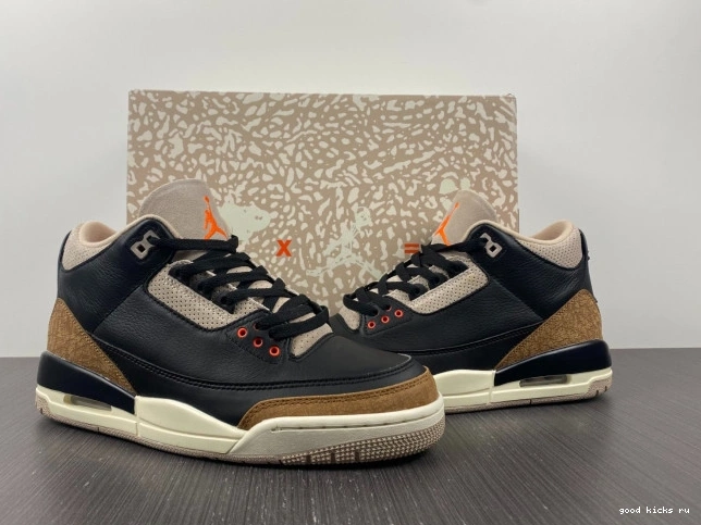Elephant Desert Air Jordan CT8532-008 3 0709